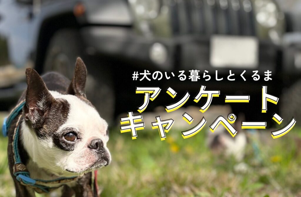 懸賞2026年3月31日締め切り 犬のいる暮らしとくるまアンケートキャンペーン